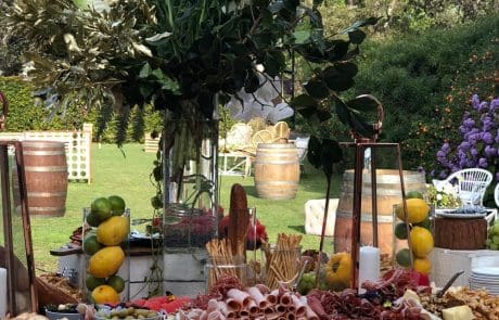 Venues Centenial Park 1