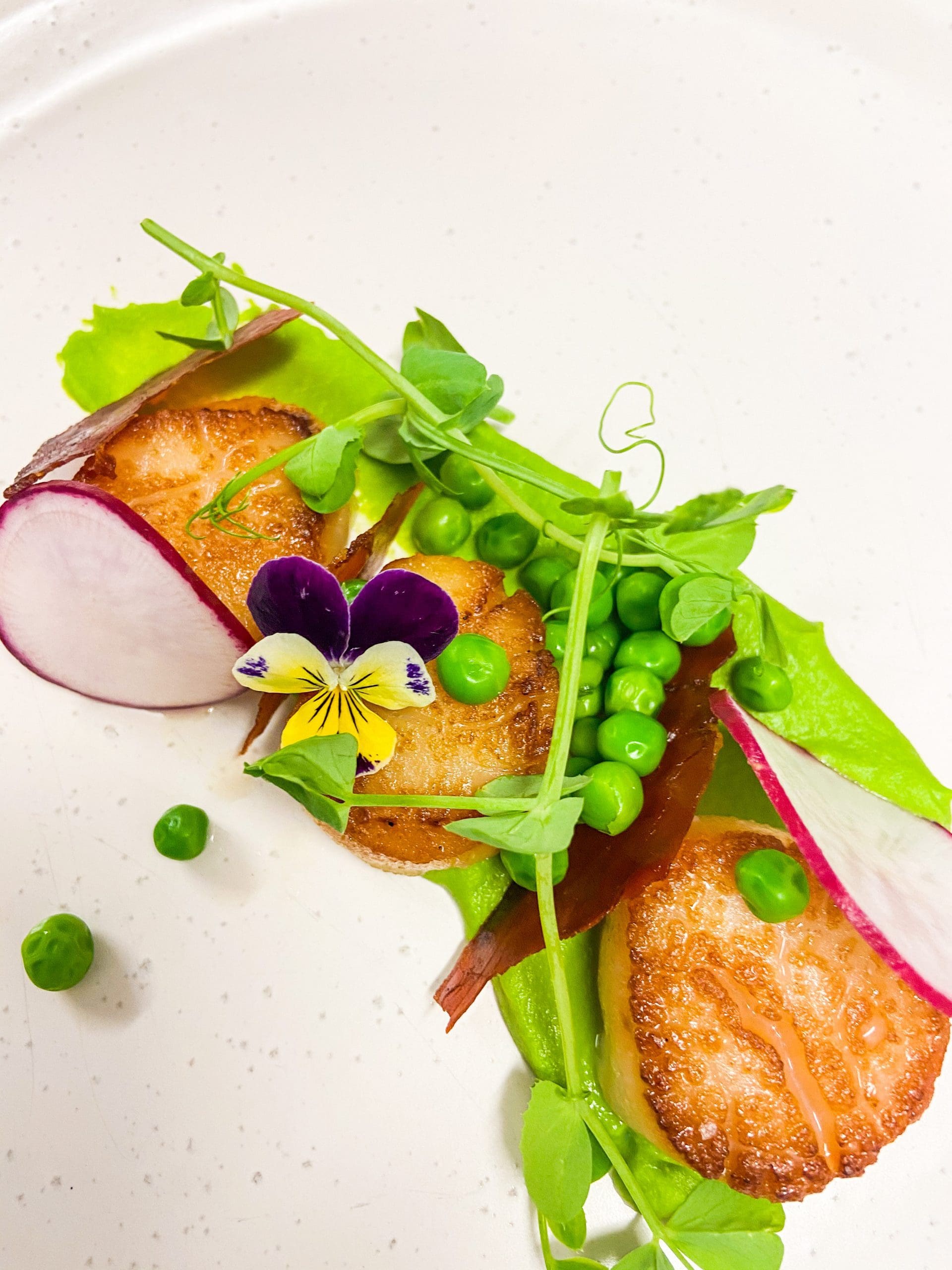 How to have a COVID safe wedding in Sydney